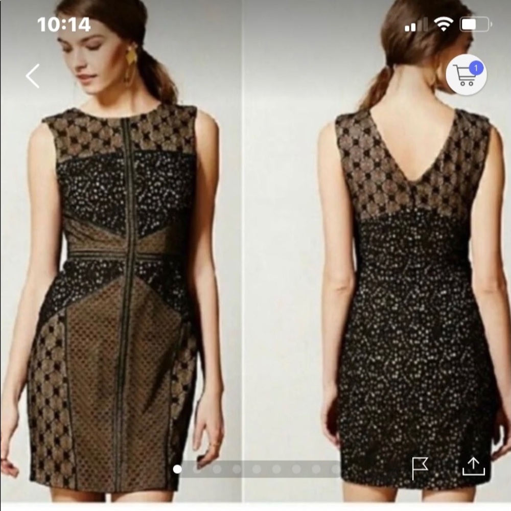 NWT Anthropologie Topography Lace Dress